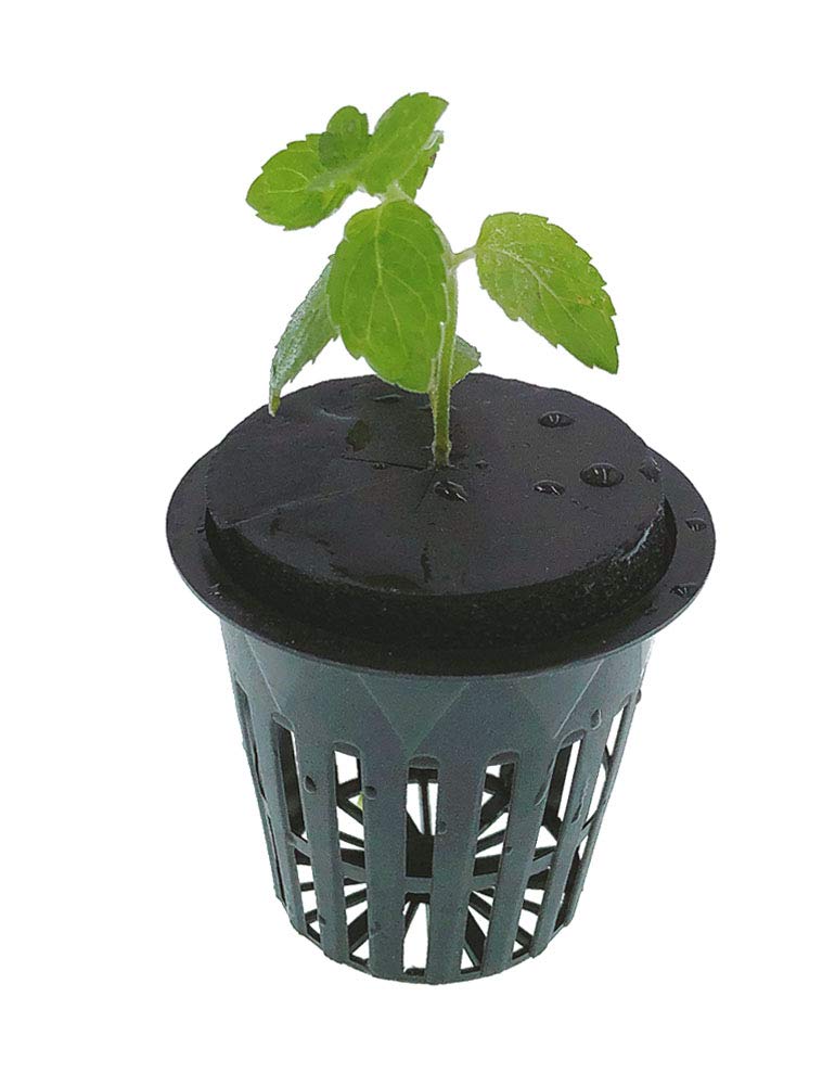 HORTIPOTS أواني هورتبوتس 2 بوصة مع تصميم حافة عريضة 2 بوصة وأغطية أواني شبكية عاكسة (مجموعة من 75) - Image 2